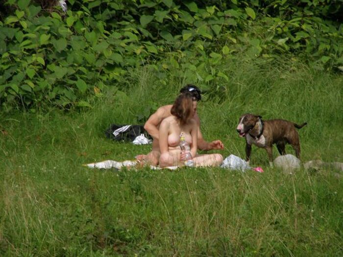If you think a white couple is naked and sunbathing in the hill of the Local... 22 pictures Voyeur who wanted to start sex! 10th image