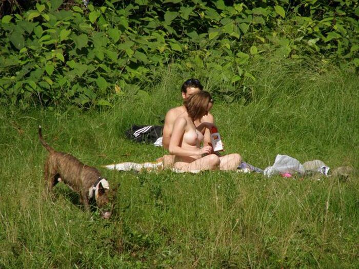 If you think a white couple is naked and sunbathing in the hill of the Local... 22 pictures Voyeur who wanted to start sex! 8th image