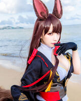Azourlen Beautiful layer Image Summary! Kaga, Akagi, Kaohsiung
