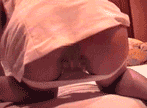 Amateur is twitch in masturbation gif image www It's too erotic moment www