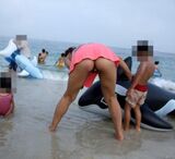 Even the crack is a big butt. Amateur kids swimsuit wife Wwwww Show anything