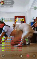 [※ Fire commercial law] Chinese bun erotic live chat, wwwwwwwwwwwwwwww to cross the line in the APT (with images)