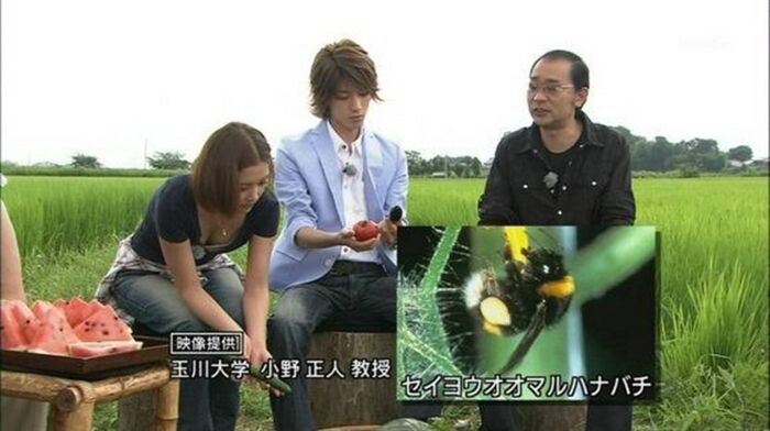 Viewership on TV explosion picture 14th image