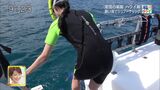 Travel Salad Girls, Rika Eda's beautiful butt and thick oppai POV cap image