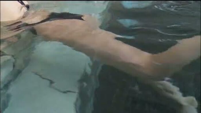 [Erotic image Underwater] Hiroko Kamata-chan wedgie in the water swimsuit swimsuit ● Ko and show roughness industry wwwwwwww 48th image