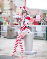 The Knee High Rabbit Santa costume is cute beautiful leg's wwww