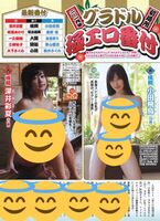 2019 Gravure Polar Erotic Banzuke announced!! The popular wear Elogradol of the consent occupies the top