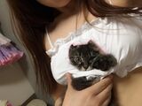 [Cat's Day 2019] popular with cosplayers [cat lingerie] Image Collection 100 Sheets Vol. 3